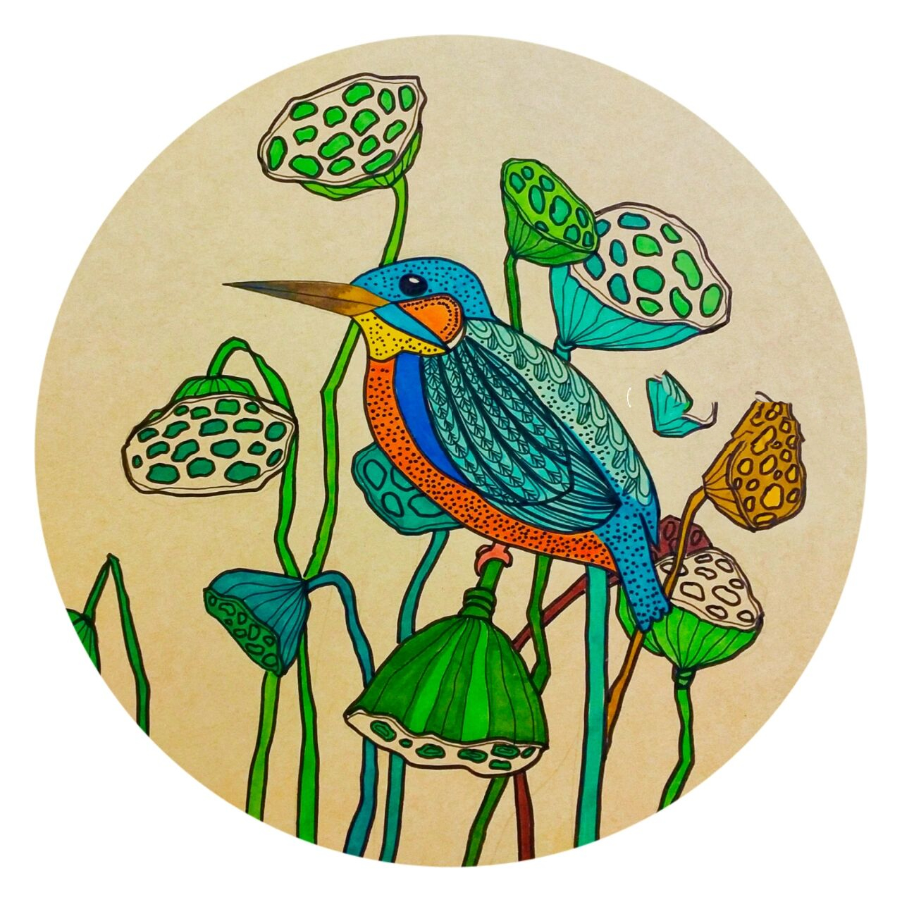 创意儿童画《翠鸟》 适合七八岁的小朋友 翠鸟里的线条可以随意组合