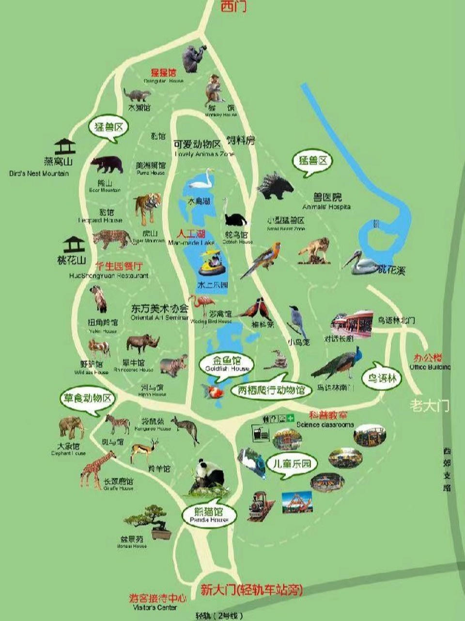 动物园导游图地图图片