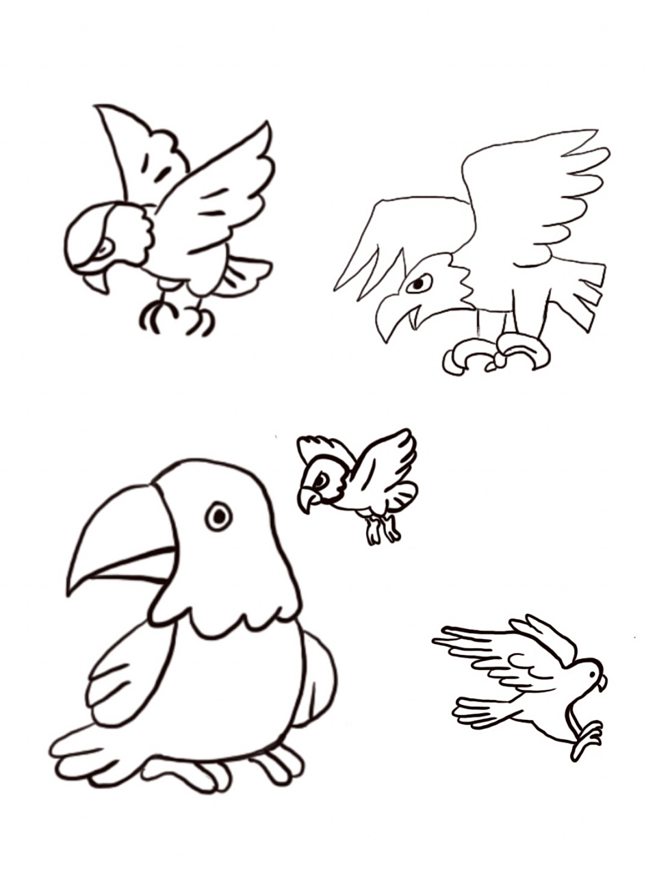 黑白简笔画—鹰 —简笔画练习 —知识普及:鹰是肉食动物,会捕捉老鼠