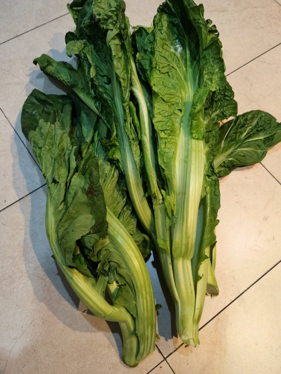 烤天菜蕻 近期正是天菜蕻上市的季节.晨起赴菜市买了几枝.