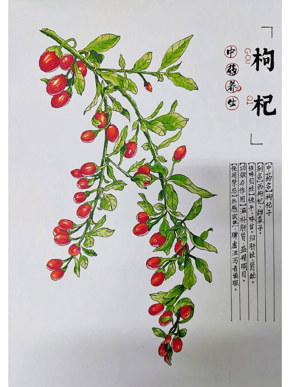 时间有限没能画的特别精致,瑶瑶的线稿真的好多细节!超级精致!