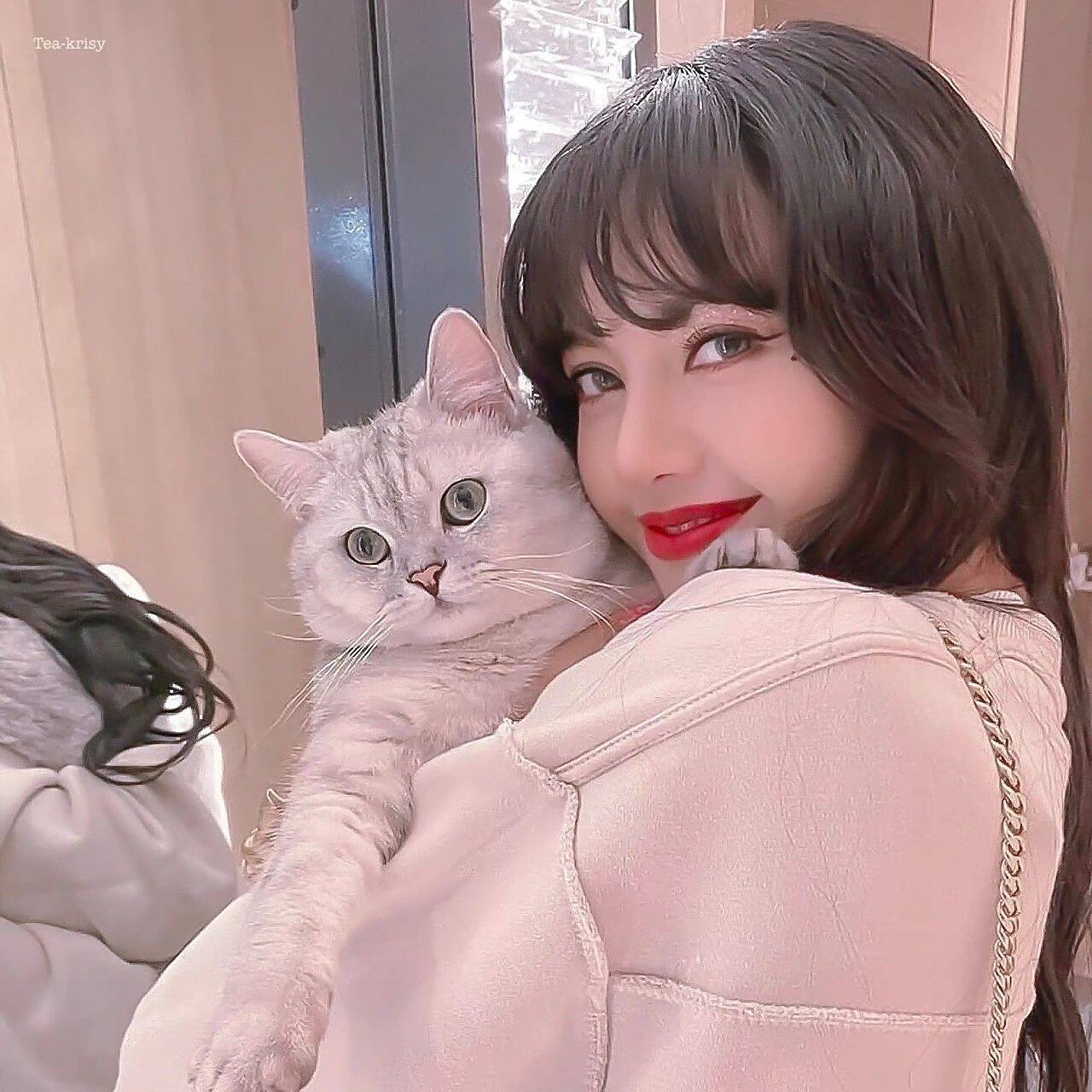 lisa头像合集92 终于把长时间没出但是很想出的bp头像系列继续更新