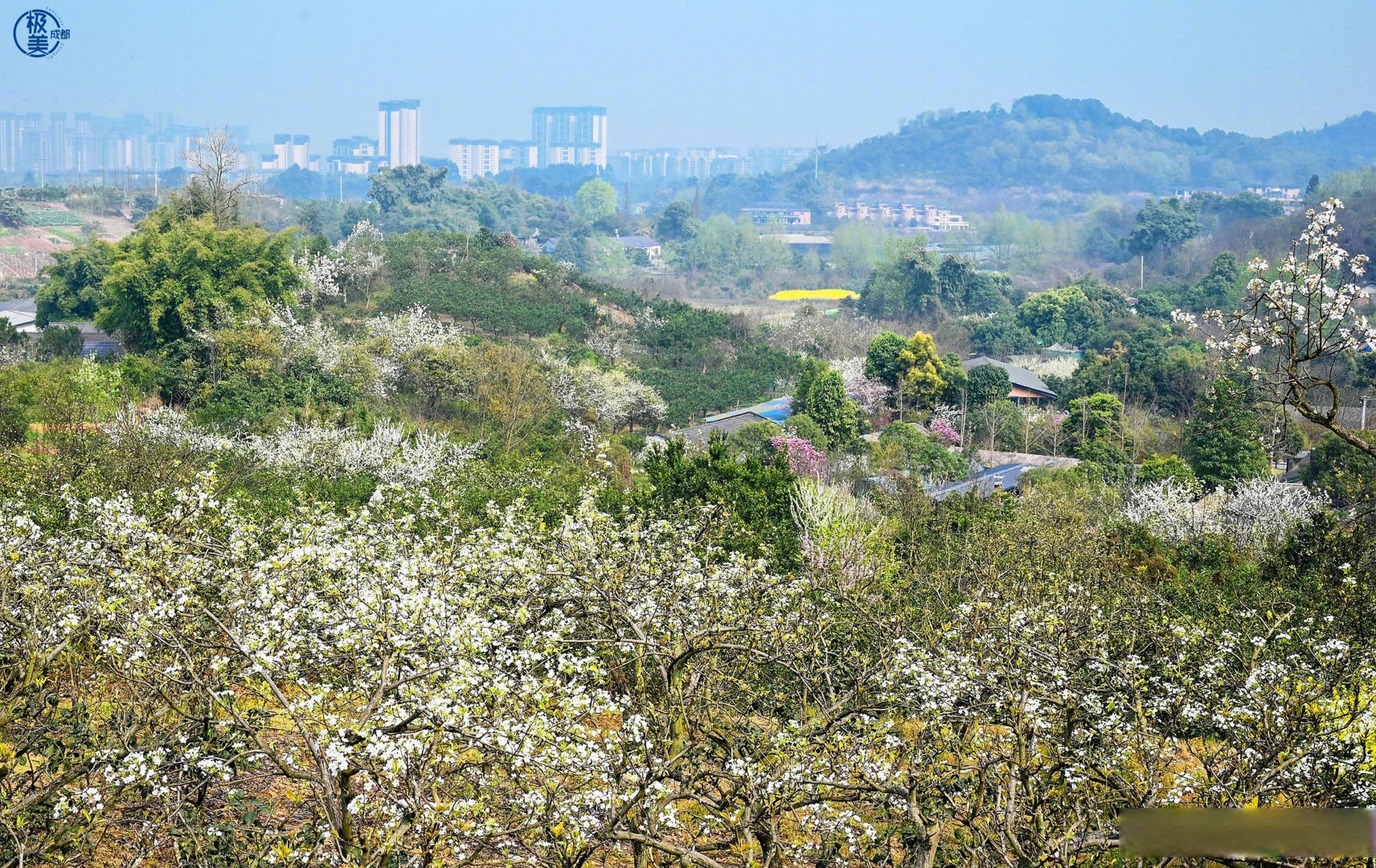 极美成都#梨花溪风景区位于新津区,其境内有一溪流,溪水潺潺,清澈