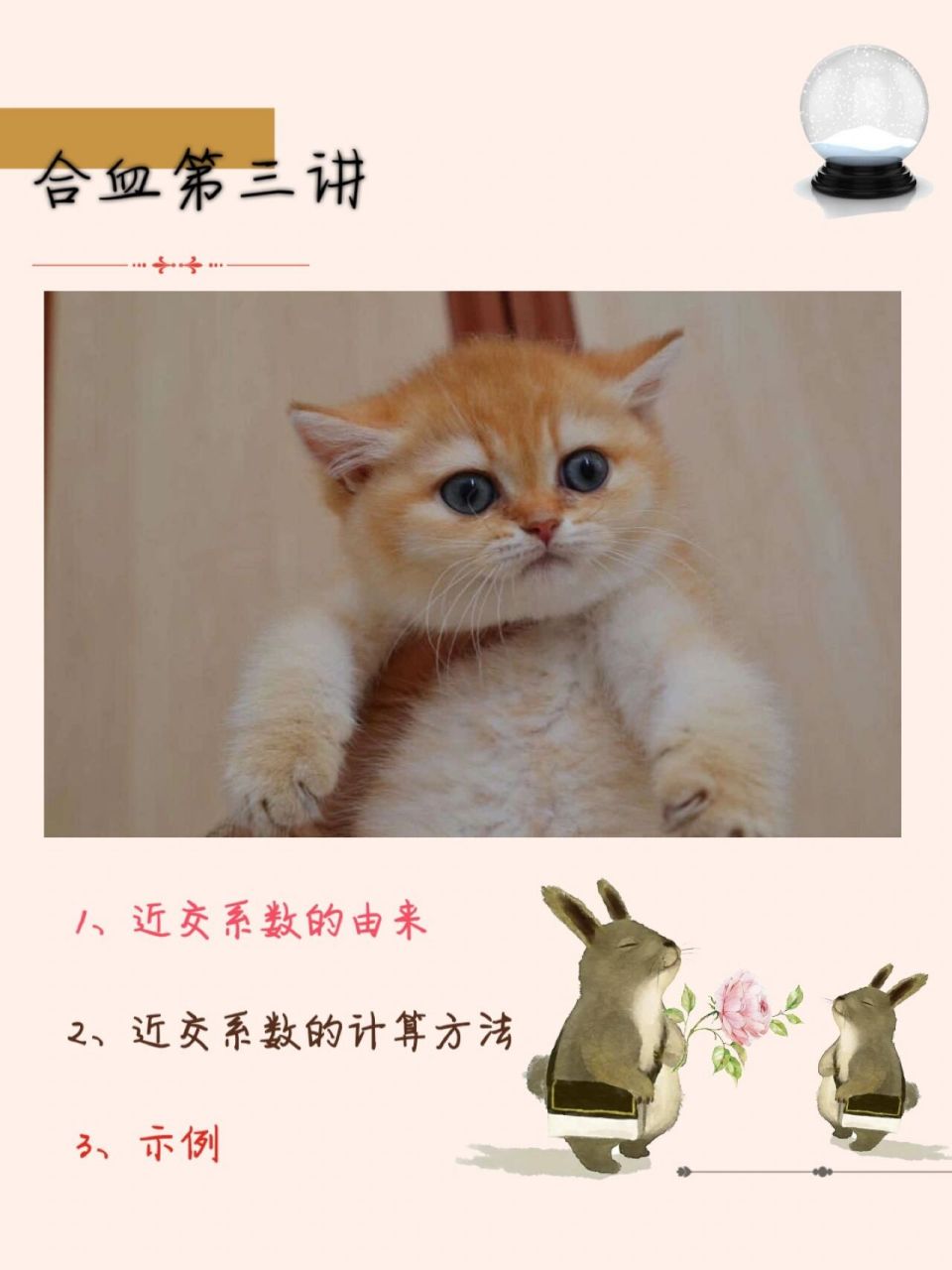 97繁育课堂丨合血第三讲 本期介绍近交系数的计算,近交系数对繁育的