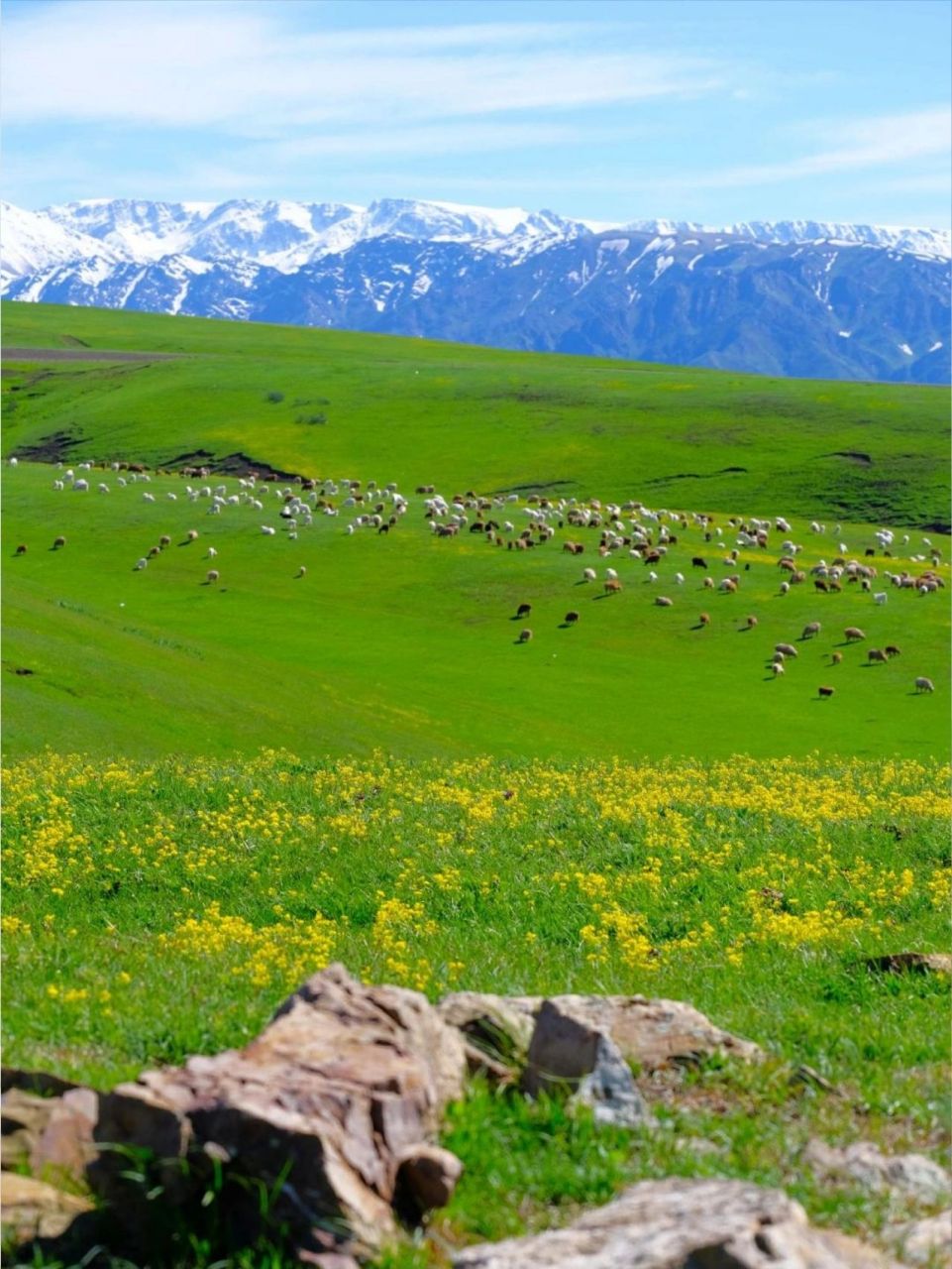 裕民县的景点都位于巴尔鲁克山 裕民县的景点都位于巴尔鲁克山72中