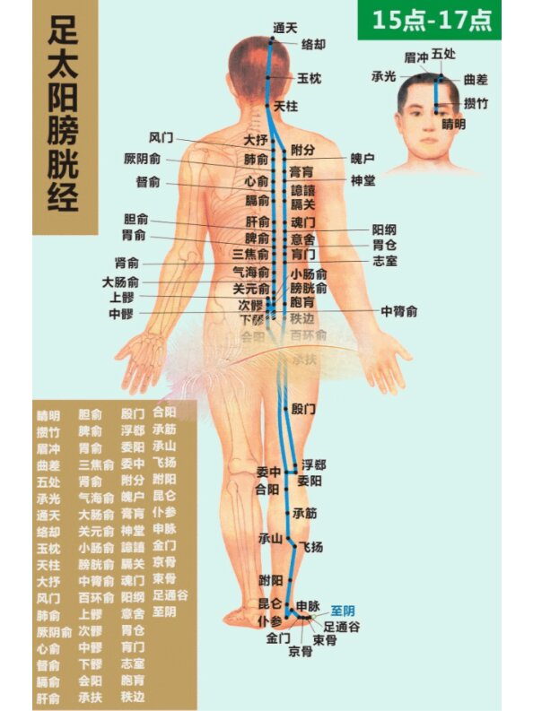 82十二手太阴肺经