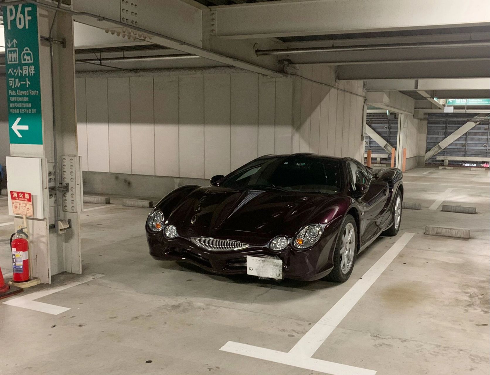 在日本开光冈大蛇的是什么人 在台场吃饭看到一辆紫色的光冈大蛇 感觉