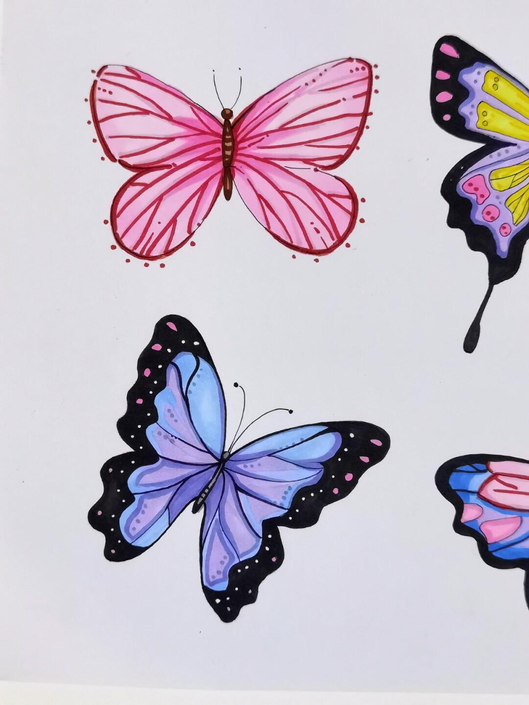 彩色蝴蝶🦋手绘插图//附细节图