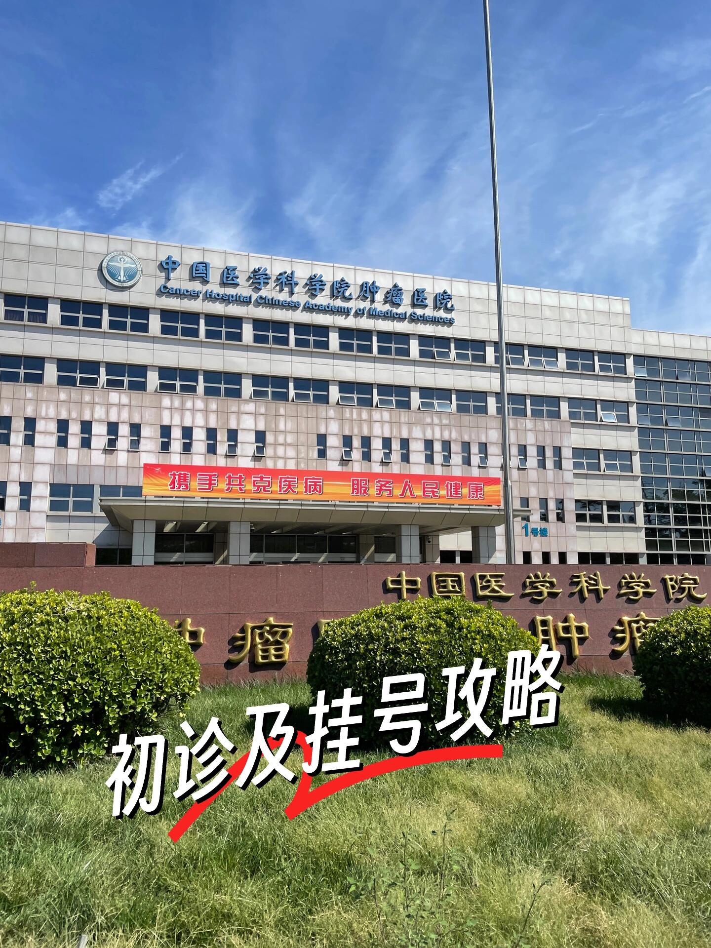 包含中国医学科学院肿瘤医院、手续代办跑腿挂号的词条