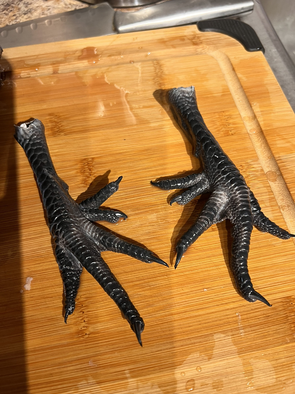 乌鸡是有几个脚趾的?