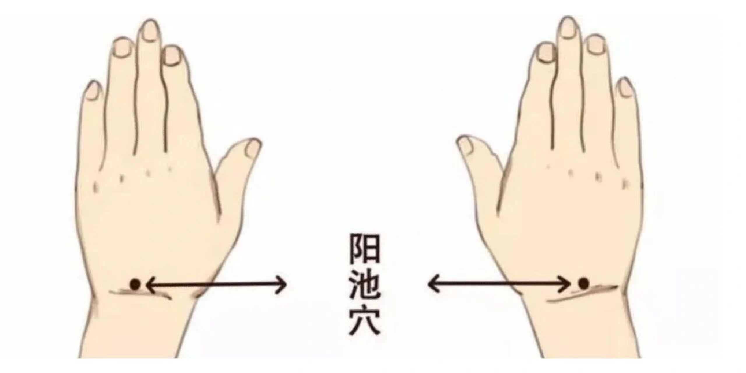 手背有个小太阳 — —阳池穴   今年进入冬天后,很多朋友说感觉自己的