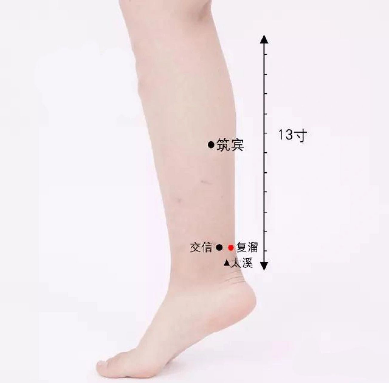 溜,悄悄地散失也.复溜名意指肾经的水湿之气在此再次吸热蒸发上行.