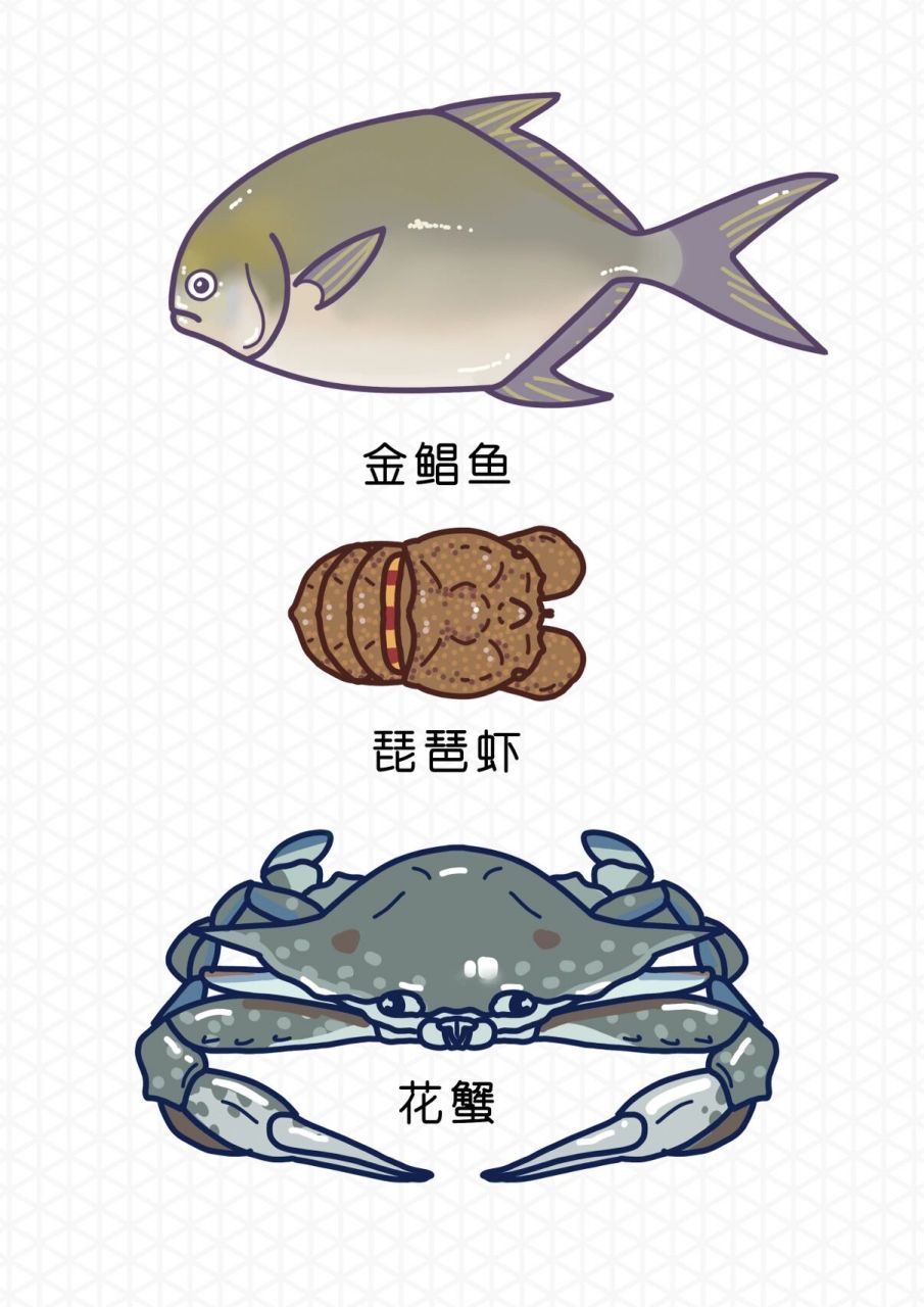 最精美的海鲜简笔画6015不收藏后悔0505