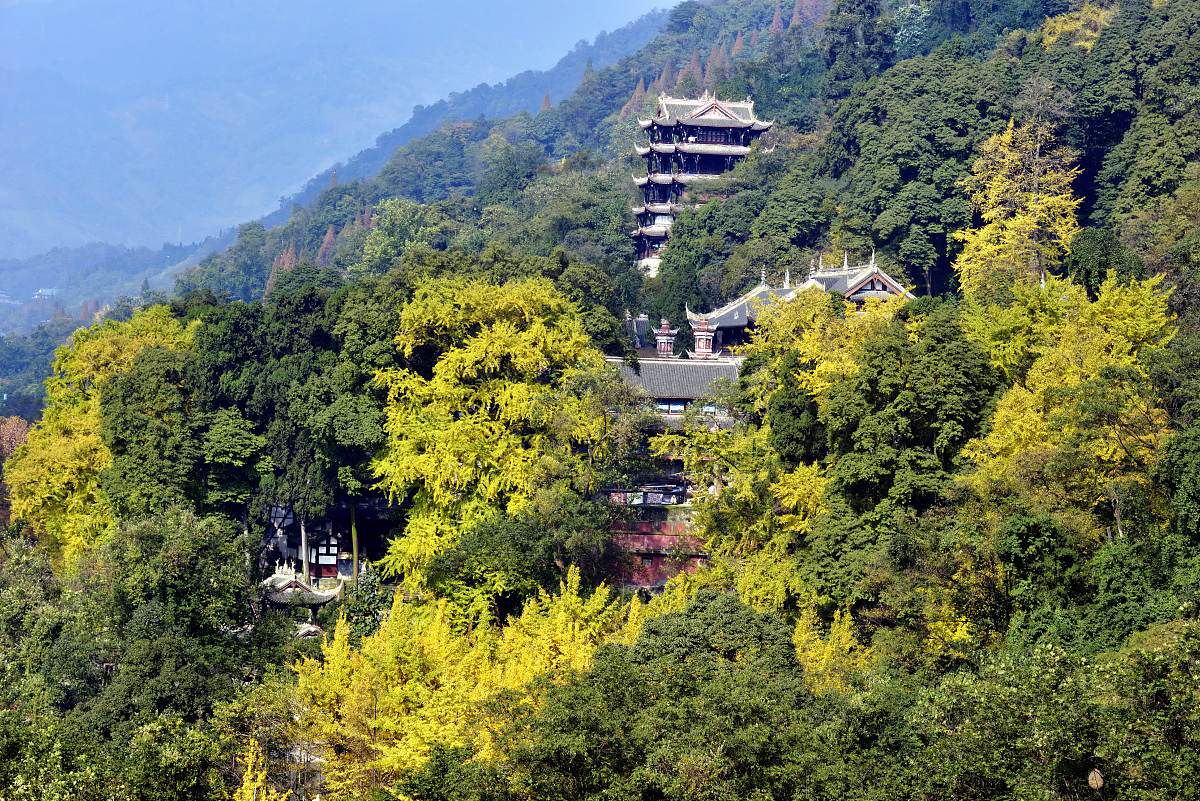 我发现了个绝美宝藏地,就是藏在崇州街子古镇旁的凤栖山,简直好用到哭