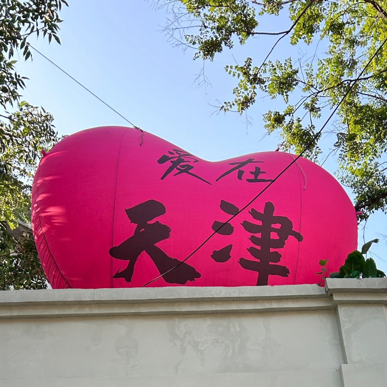 天津/瓷房子打卡 门票9950 瓷房子里面3层楼 每层楼都有小露台可以