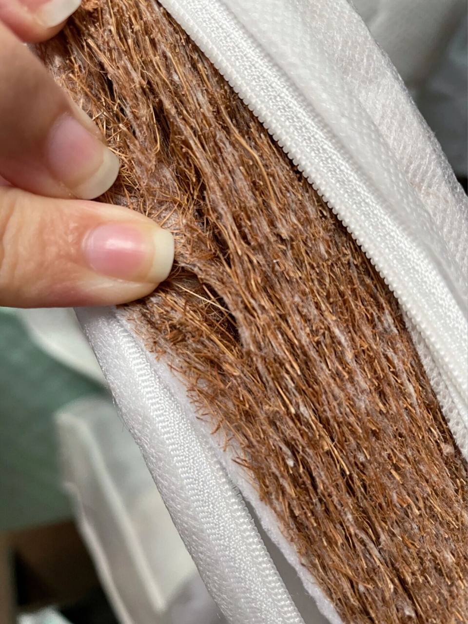 为什么看到有些会长虫子是真的假的?