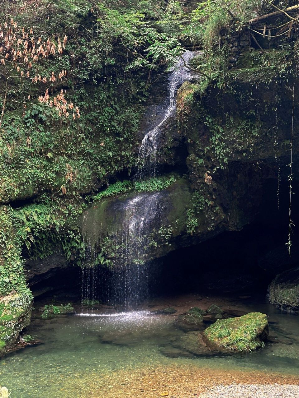 黟县打鼓岭景区图片