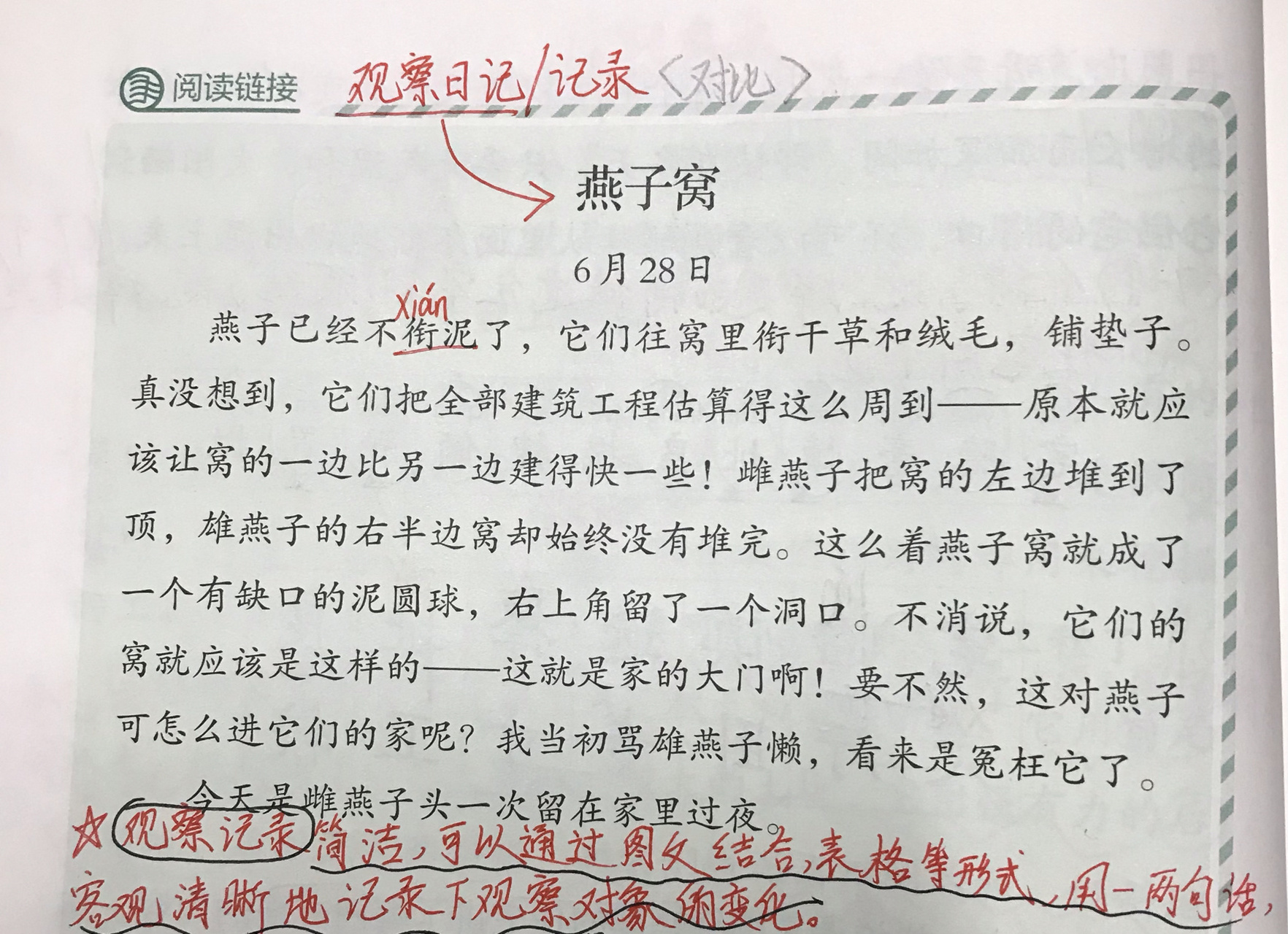 蟋蟀的住宅生字图片