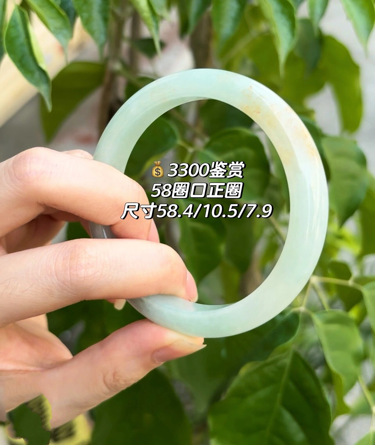 洒金翡翠手镯 品相完美 性价比高