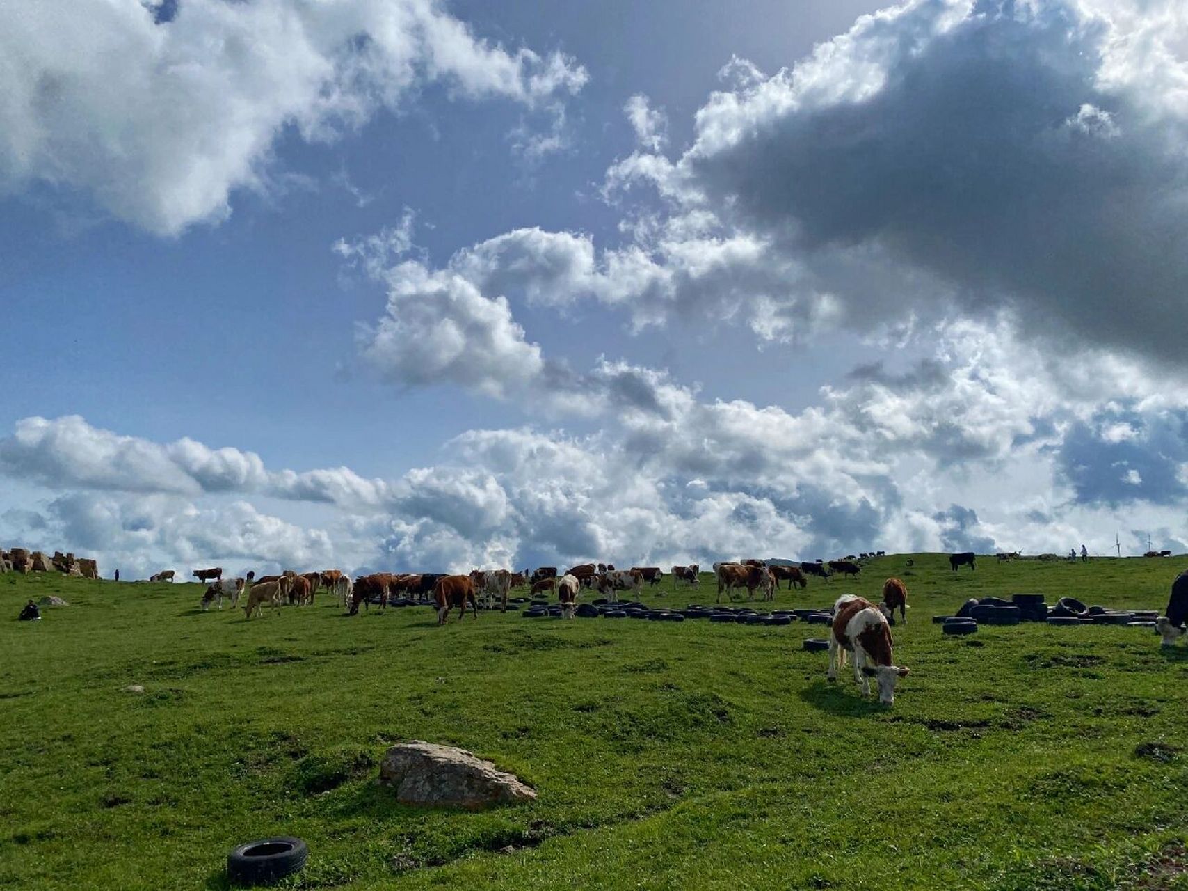 蔚县空中草原 ①地点:张家口蔚县飞狐峪空中草原(蔚县和涞源交界处) 