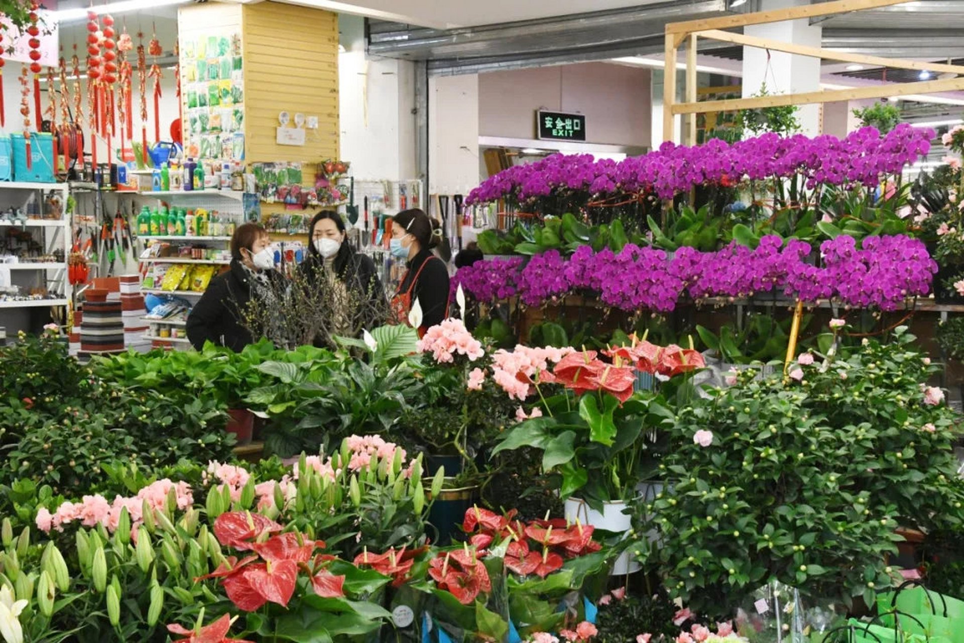 郑州花卉市场(郑州花卉市场地址)