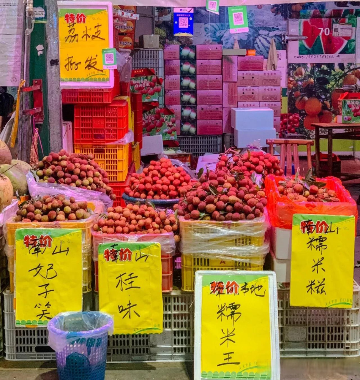 荔枝高压出售信息网站_荔枝高压苗种植技术