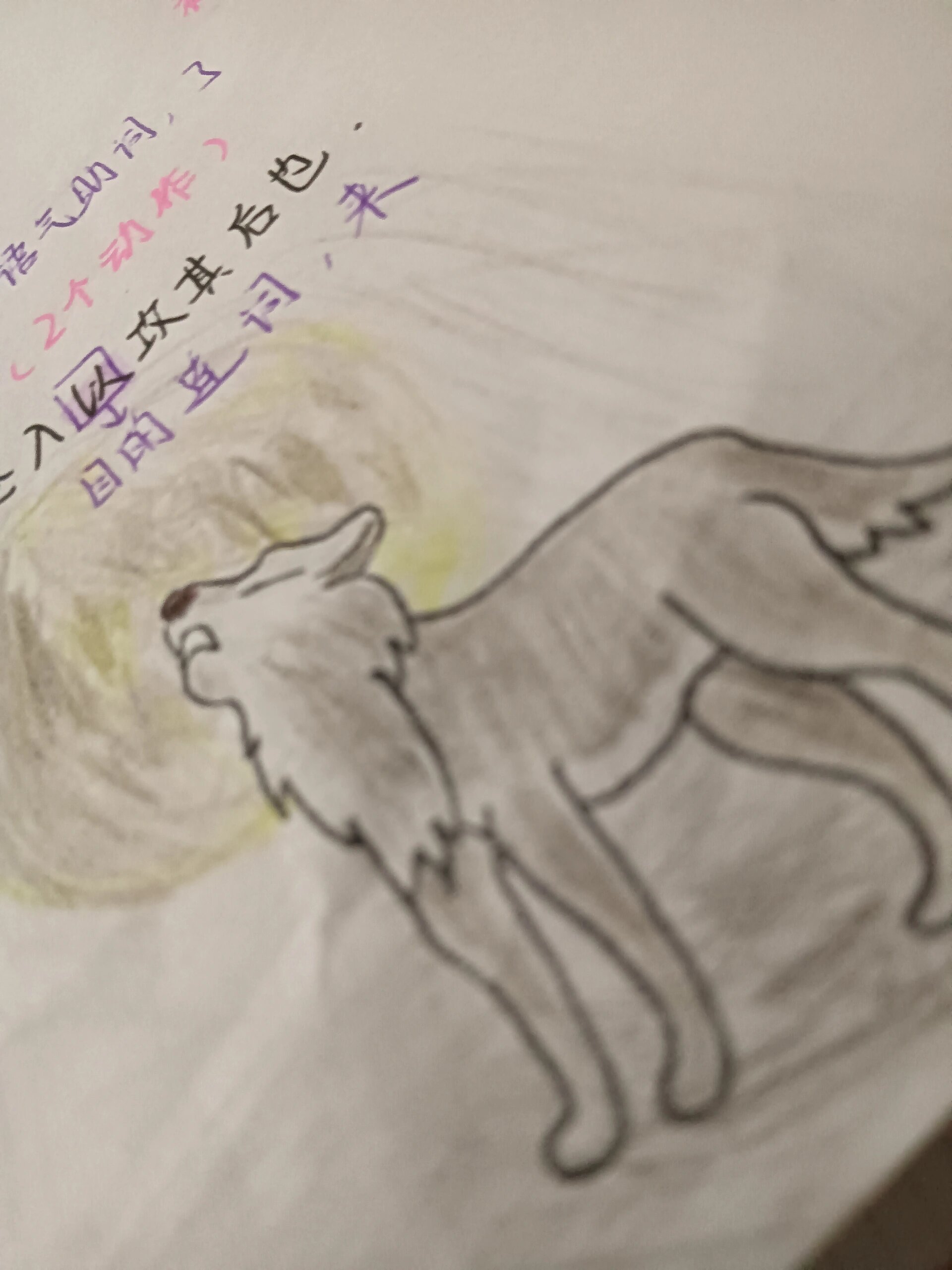 七上狼的思维导图78