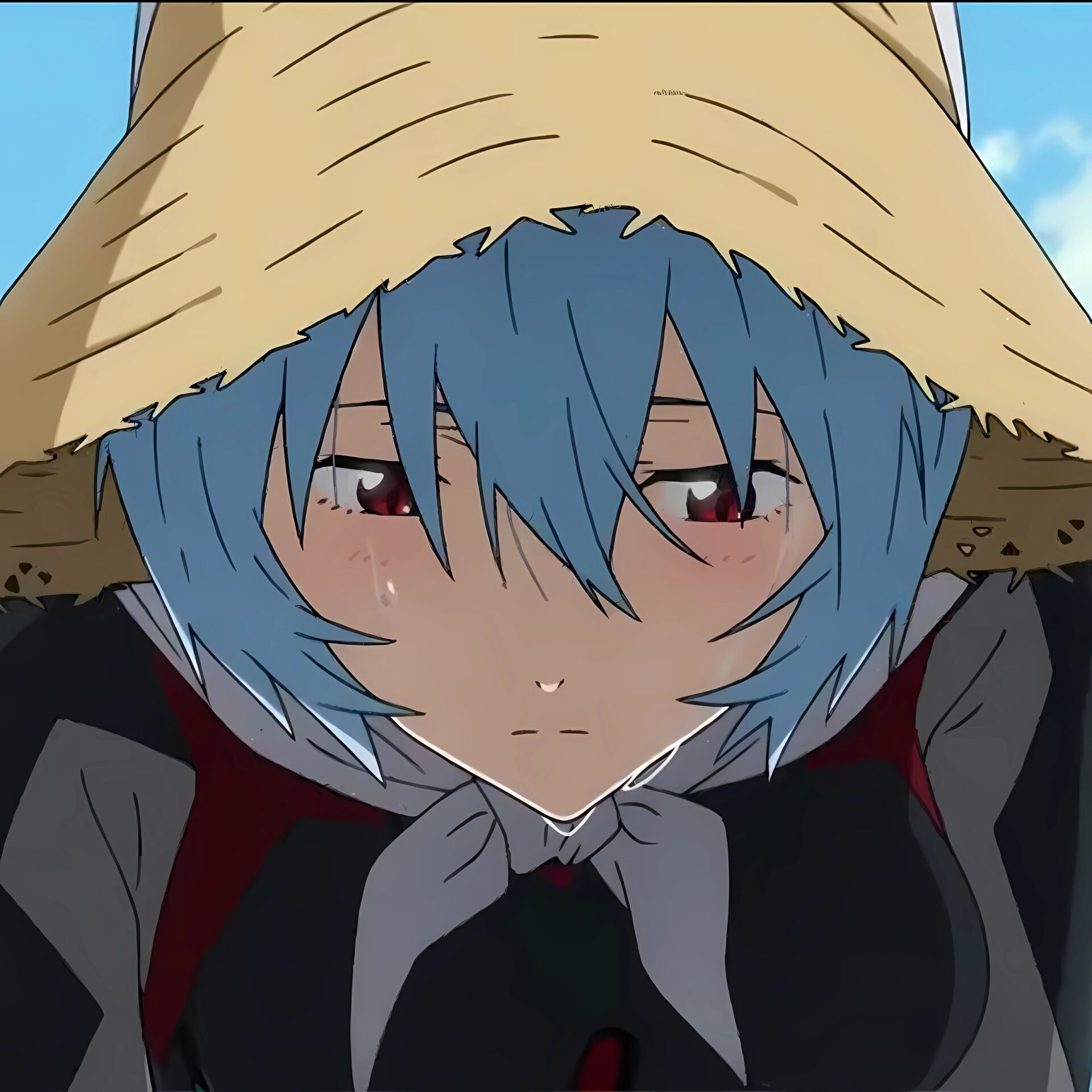 绫波丽 自截自调|礼貌拿图