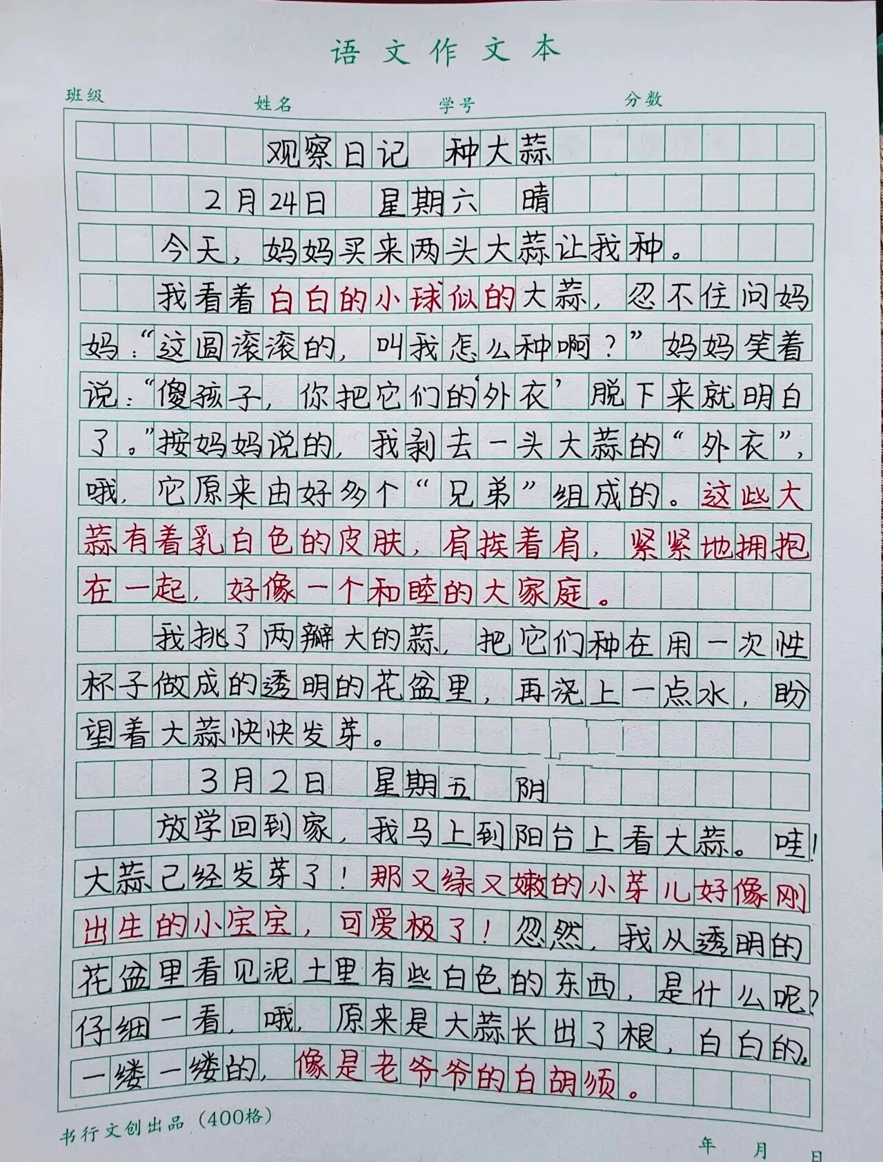 四年级日记200字观察图片