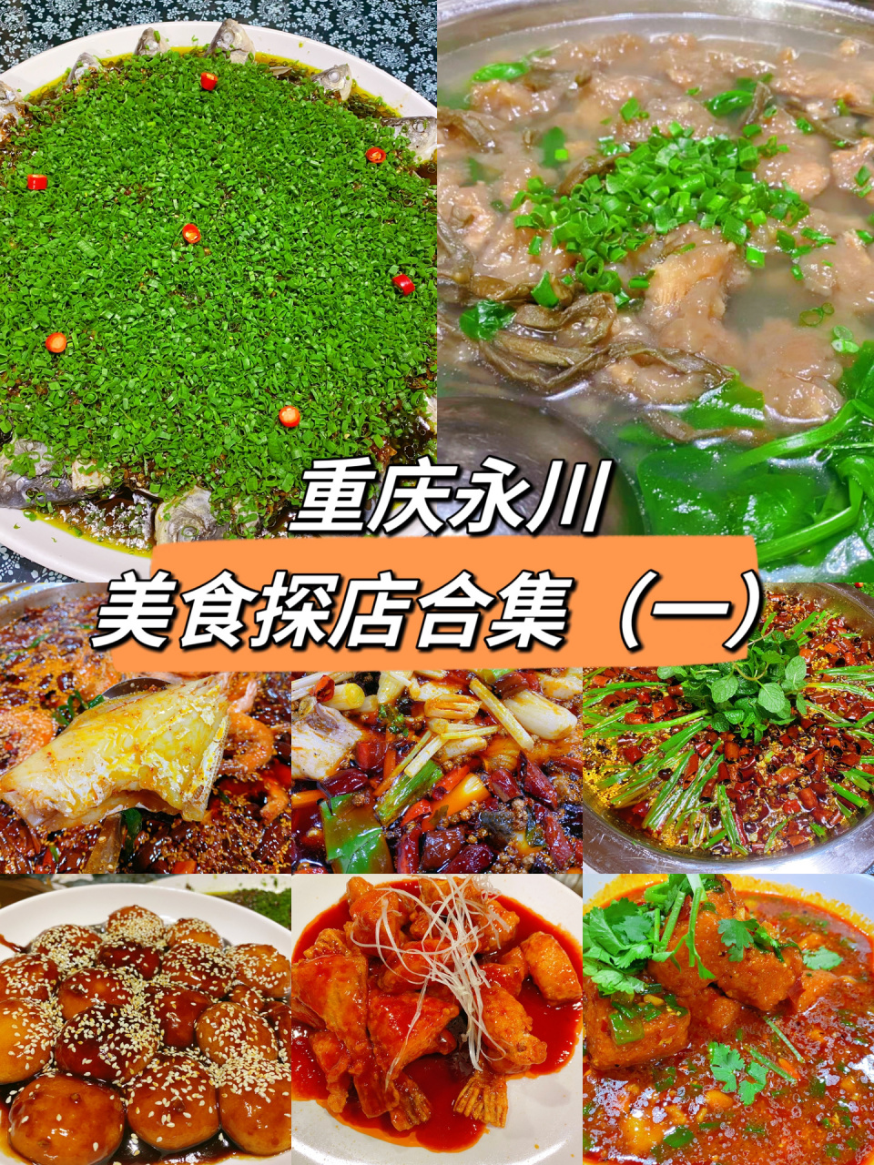 重庆永川|美食探店合集(一)  96黄记无刺鱼庄96 90价格:60～70