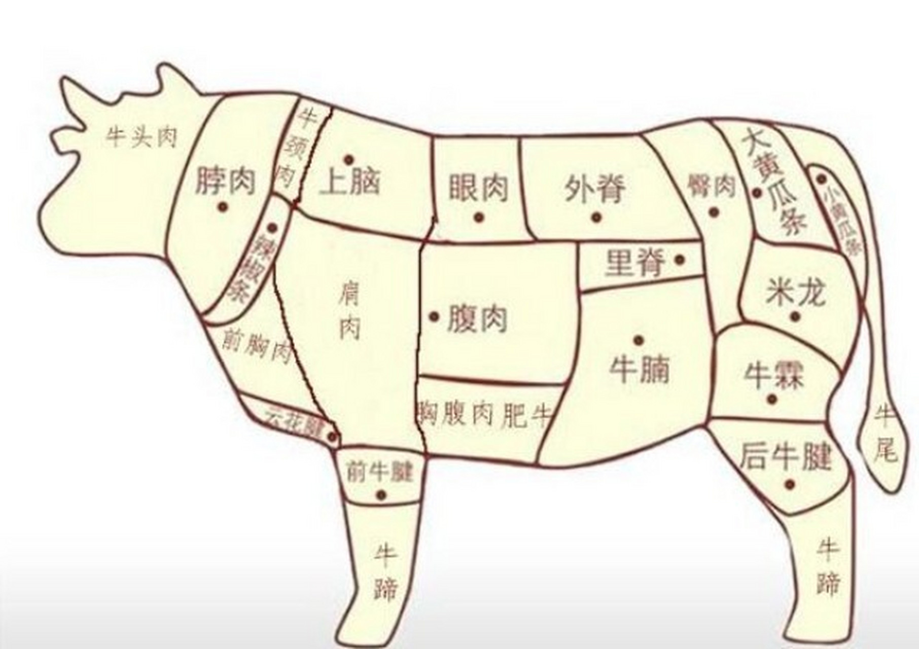 牛肉部位分割图图解图片