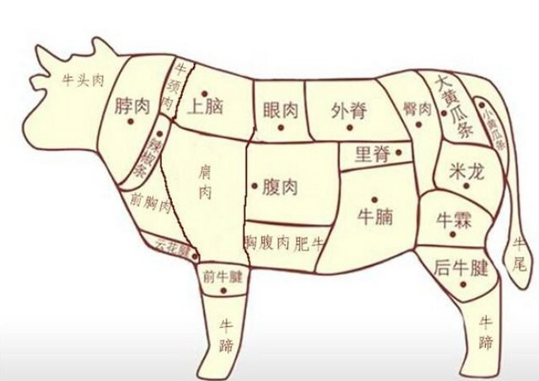 牛肉的部位图解与最佳吃法 牛肉的等级 特级:里脊 一级:上脑,外脊