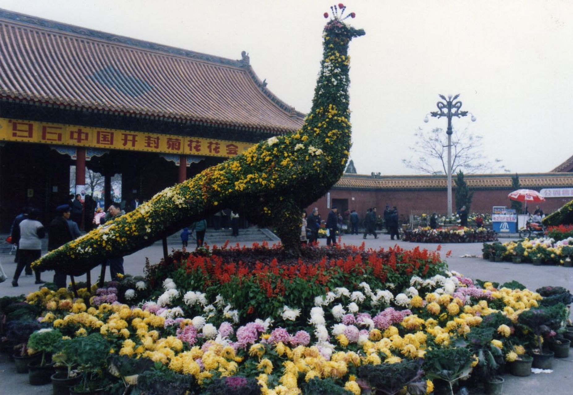 开封菊花花会图片