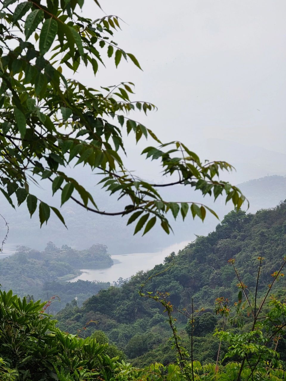 深圳周末系列74求水山公园 地址:龙岗布吉求水山公园 门票: 爬山