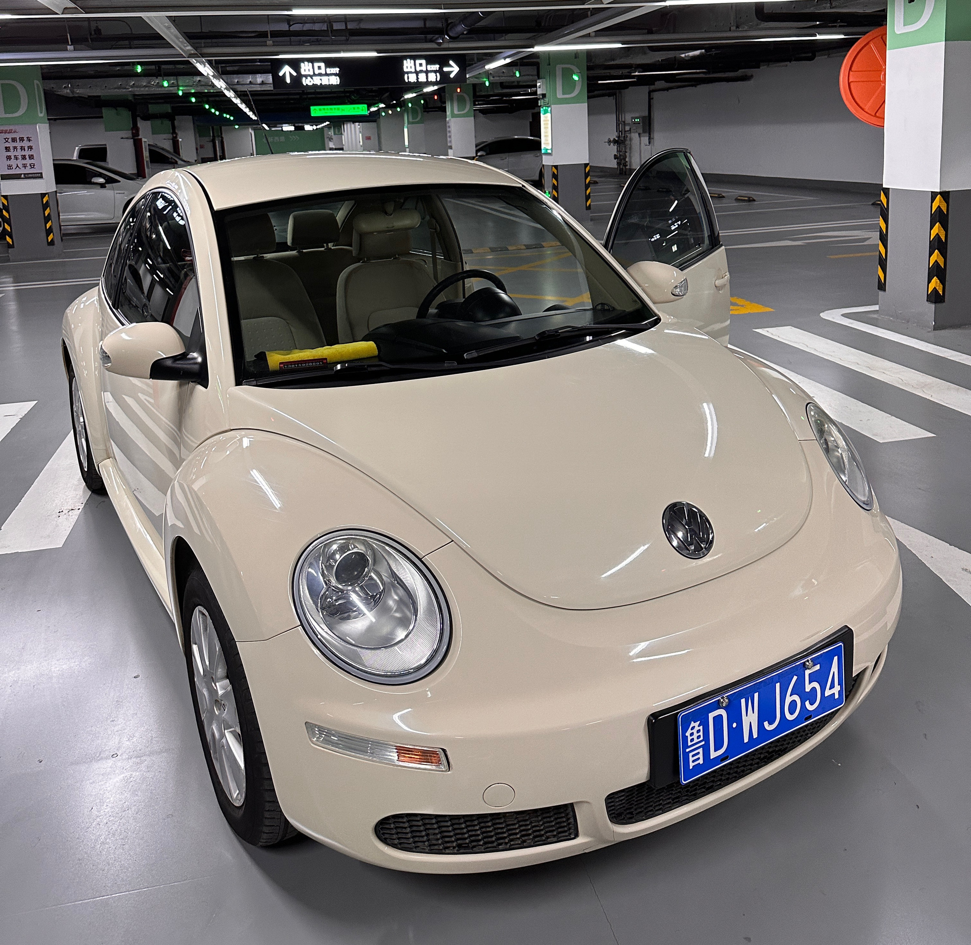 奶系小虫 最求极致的来0169♂15 新到 10年甲壳虫 奶白色 1.