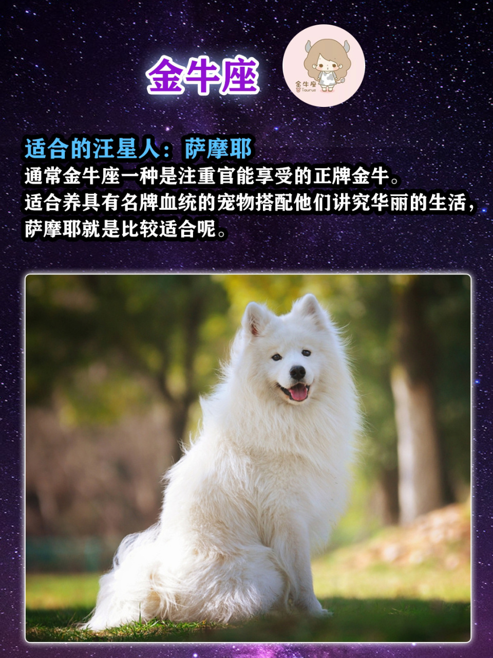 12星座7415铲屎官专属狗狗98,你想养哪只71 12星座性格各有不