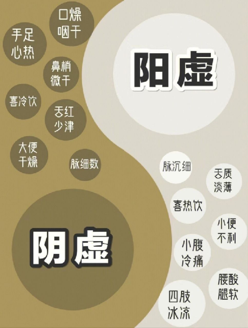 阳虚 阴虚的特征.