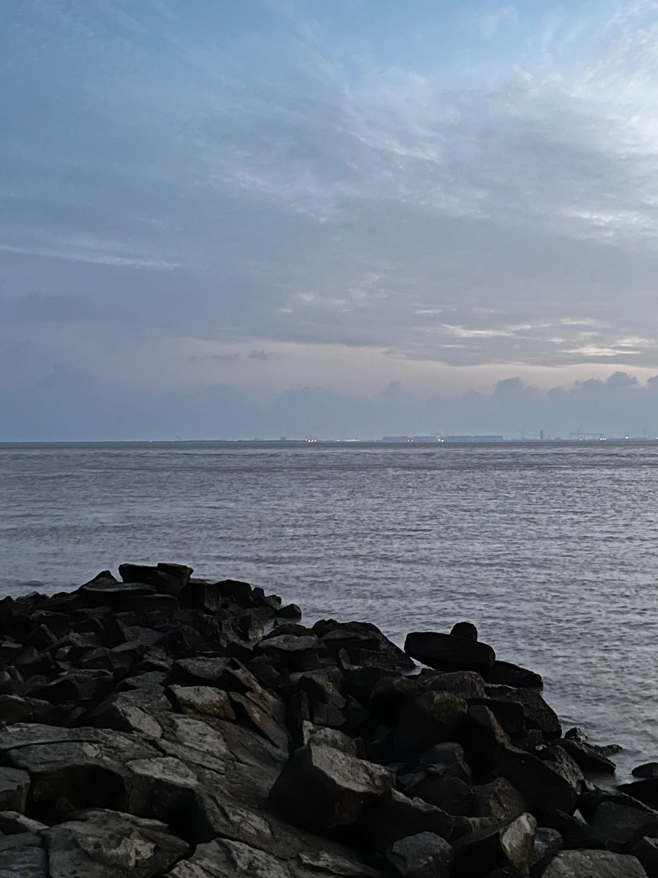 走的匆忙脸都没来得及洗,本没打算拍照,但崇明岛海边的景色真是太棒啦