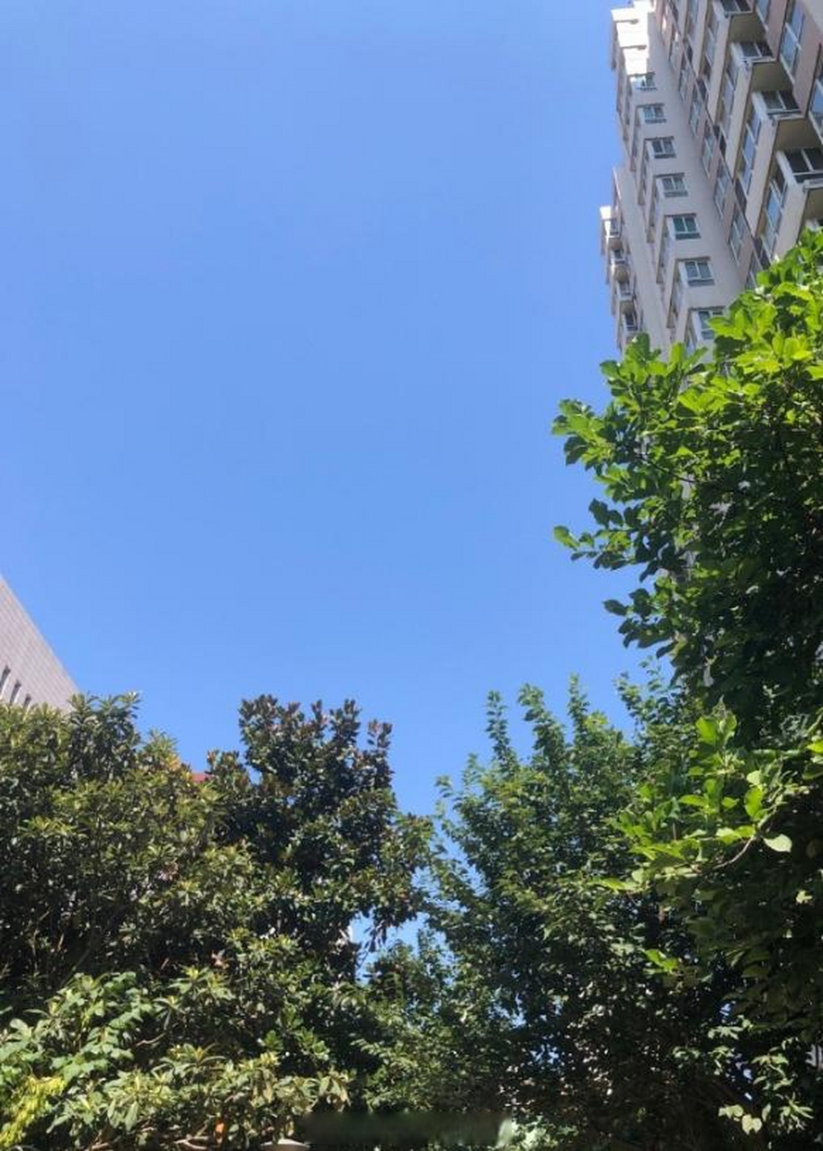 【本周西安气温持续攀升西安20日有阵雨或雷阵雨】本周西安市以晴到