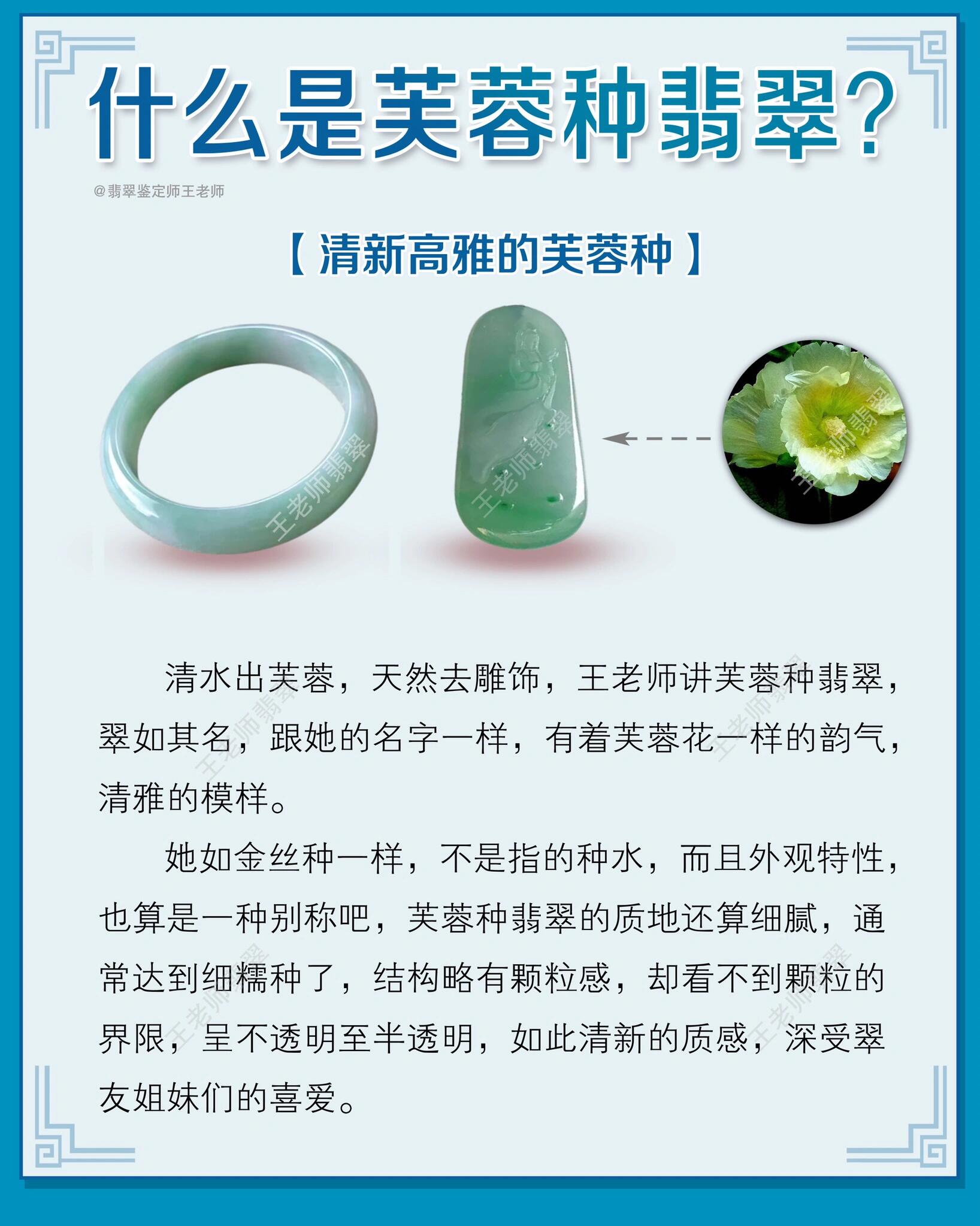 一张图认识芙蓉种翡翠7515翡翠科普帖78