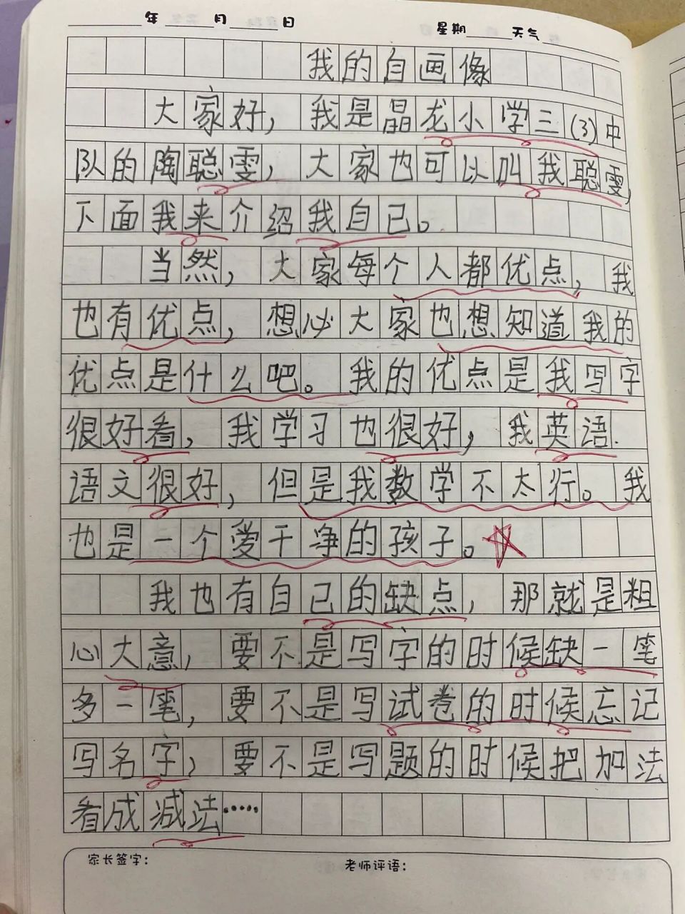 我的自画像作文450字图片