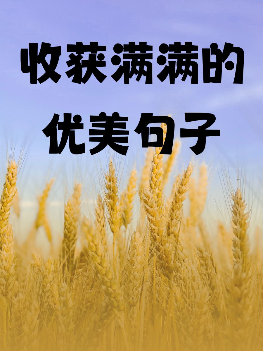 表示收获满满的句子简短