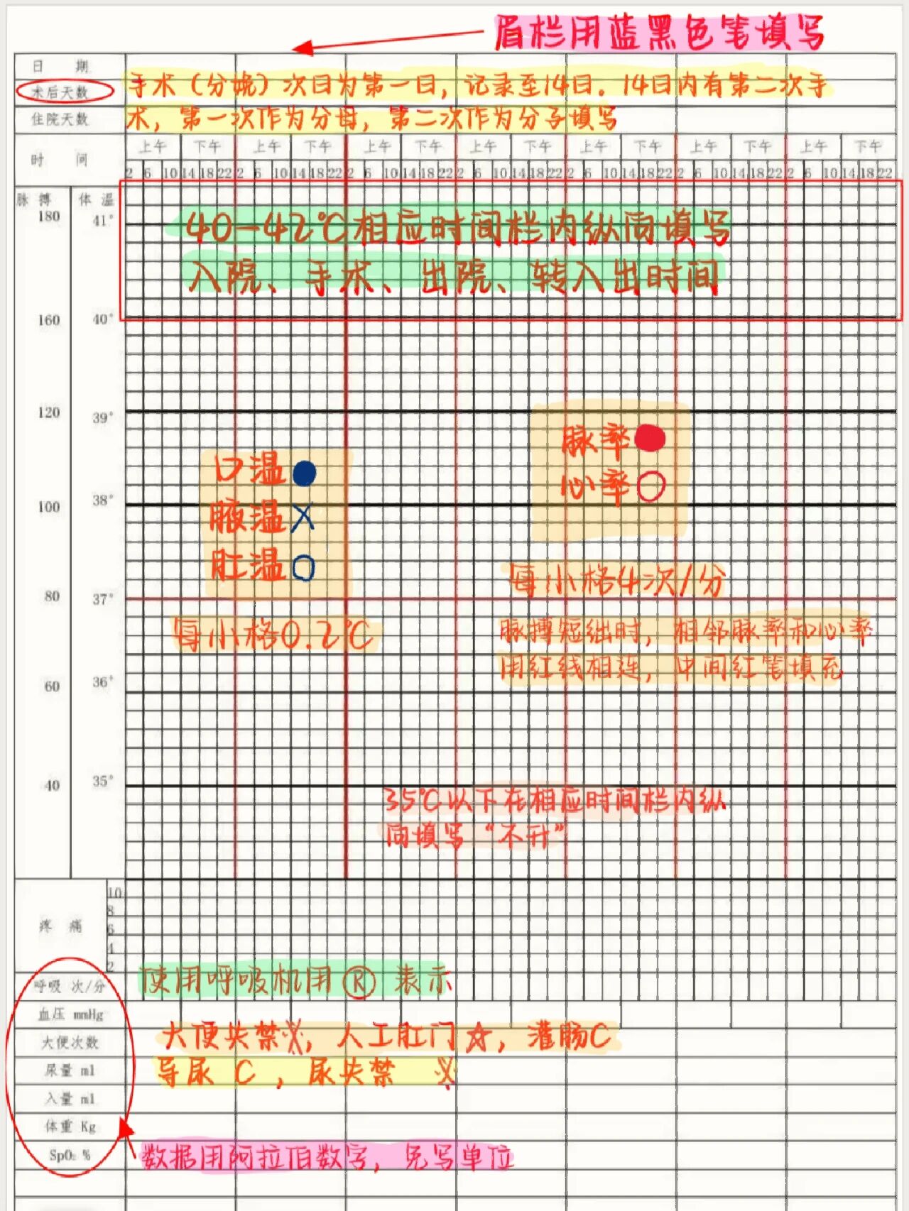 体温单绘制图解图片