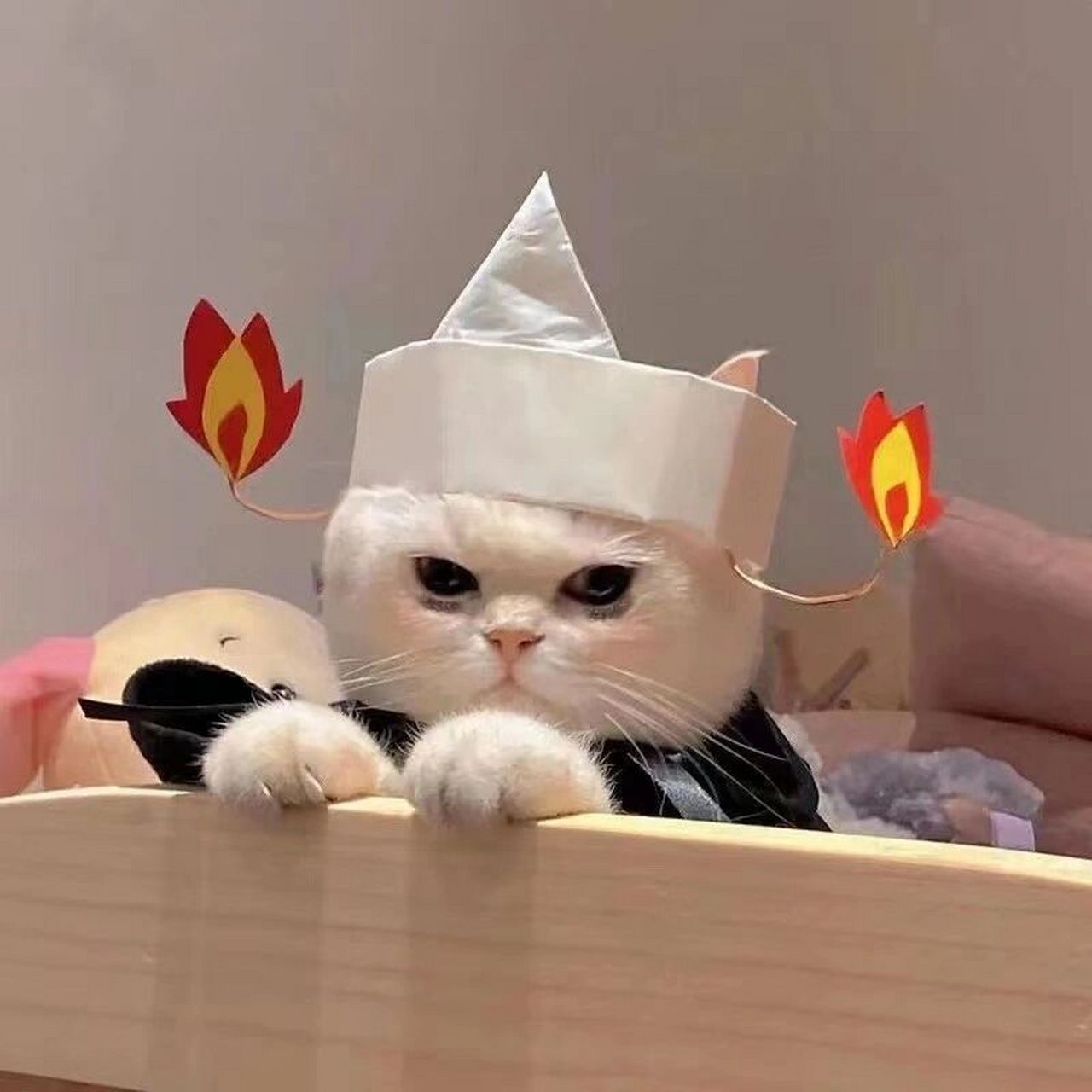 头像# #头像分享# #搞怪头像# #猫咪头像# #可爱头像# #猫咪# #卡通