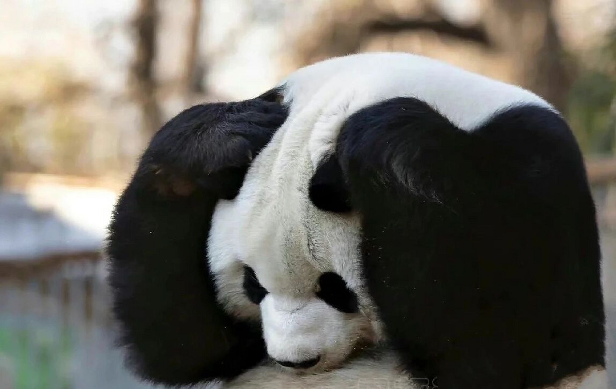 贴小广告的你没有心!