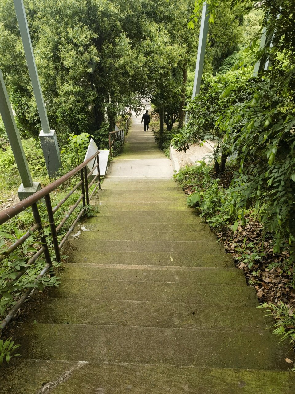 分享台州路桥中央山公园中免费的玻璃栈道 推荐来路桥玩的小姐妹可以