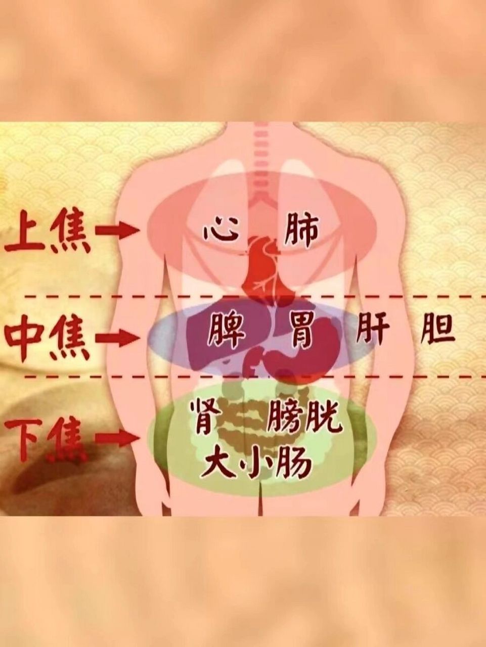 金鸡独立引火归元图片