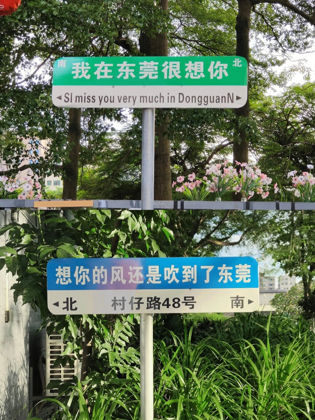 想你的风还是吹到了东莞 我在东莞很想你 在东莞虎门的城市路牌 直接