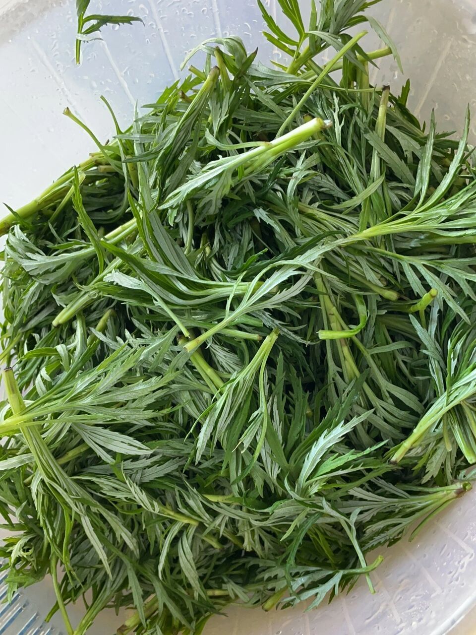 土豆脊骨柳蒿芽汤92   炒鸡好吃的柳蒿芽 按照韩式脊骨汤的做法做