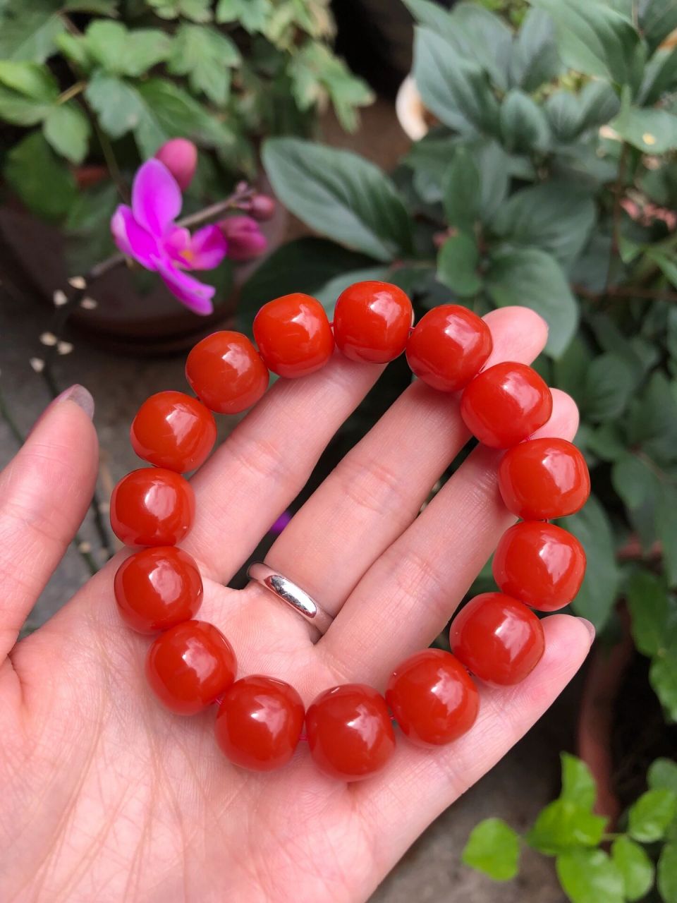 南红玛瑙贵吗 不可否认,南红玛瑙的价格上涨的已经非常快了,现在的